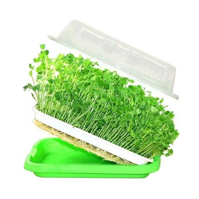 Microgreen Seed Germination Tray, Soil-Free Cultivation  Seed Sprouting Trays Kit - 3 Layers
