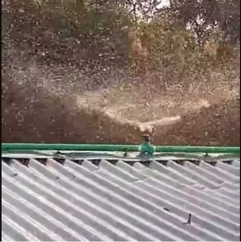 Plastic Butterfly Sprinkler, 1/2 inch Male Thread for For Farm, Lawn, Garden Irrigation System  360° rotation -05 Pcs