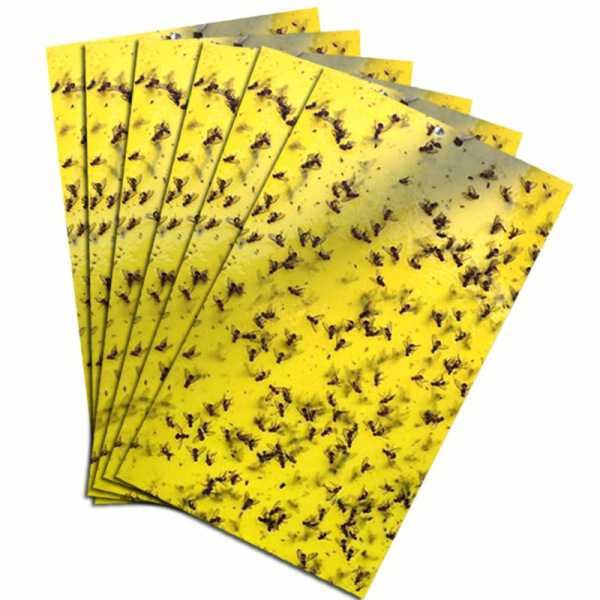 Yellow Sticky Trap effective against whiteflies, winged aphids, jassid, leafhoppers, leaf miners double-sided 20X10mm -10 pcs