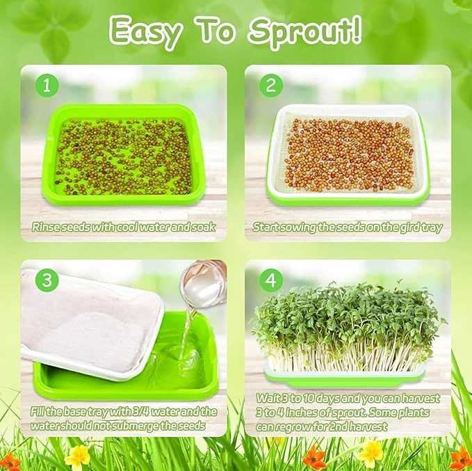 Microgreen Seed Germination Tray, Soil-Free Cultivation  Seed Sprouting Trays Kit - 2 Layers